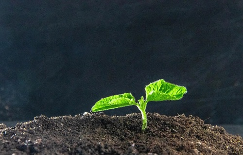 1648535102821650.png image.png