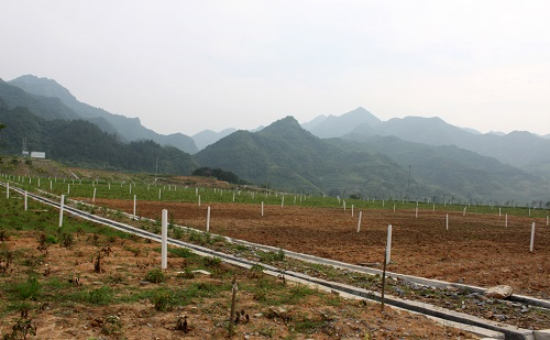 1648535578209582.png image.png