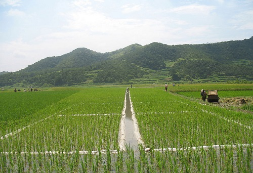 1650002585107515.png image.png