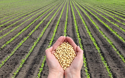 1652413381190069.png image.png