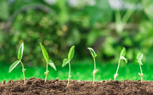 1658890779409508.png image.png