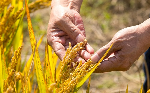 1661311340107591.png image.png