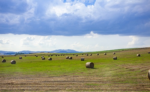 1661483205569737.png image.png