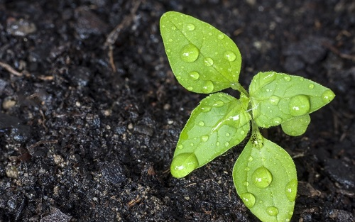 1665382492108724.png image.png