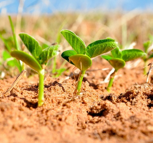 1667893390285862.png image.png