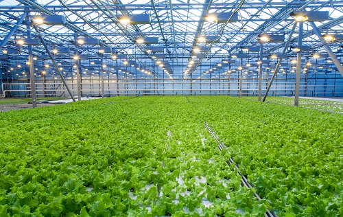 1670397188234903.png image.png