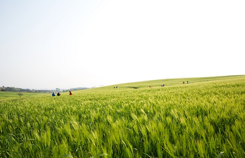 1670833475940116.png image.png