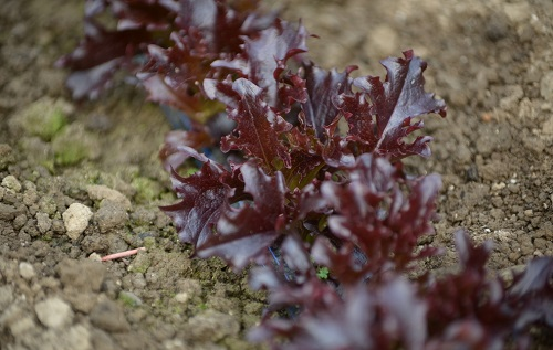 1676006803447551.png image.png