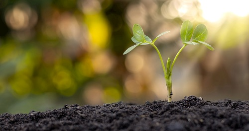 1677565378646476.png image.png