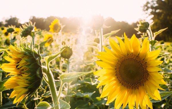 1678341705131940.png image.png