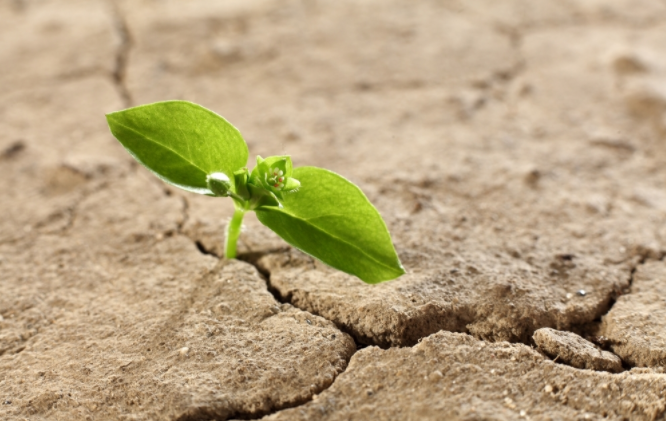 1680588336414641.png 土壤肥料檢測儀怎么用?