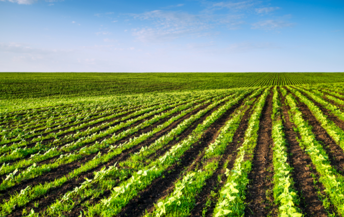 1684726269167612.png 土壤取樣器